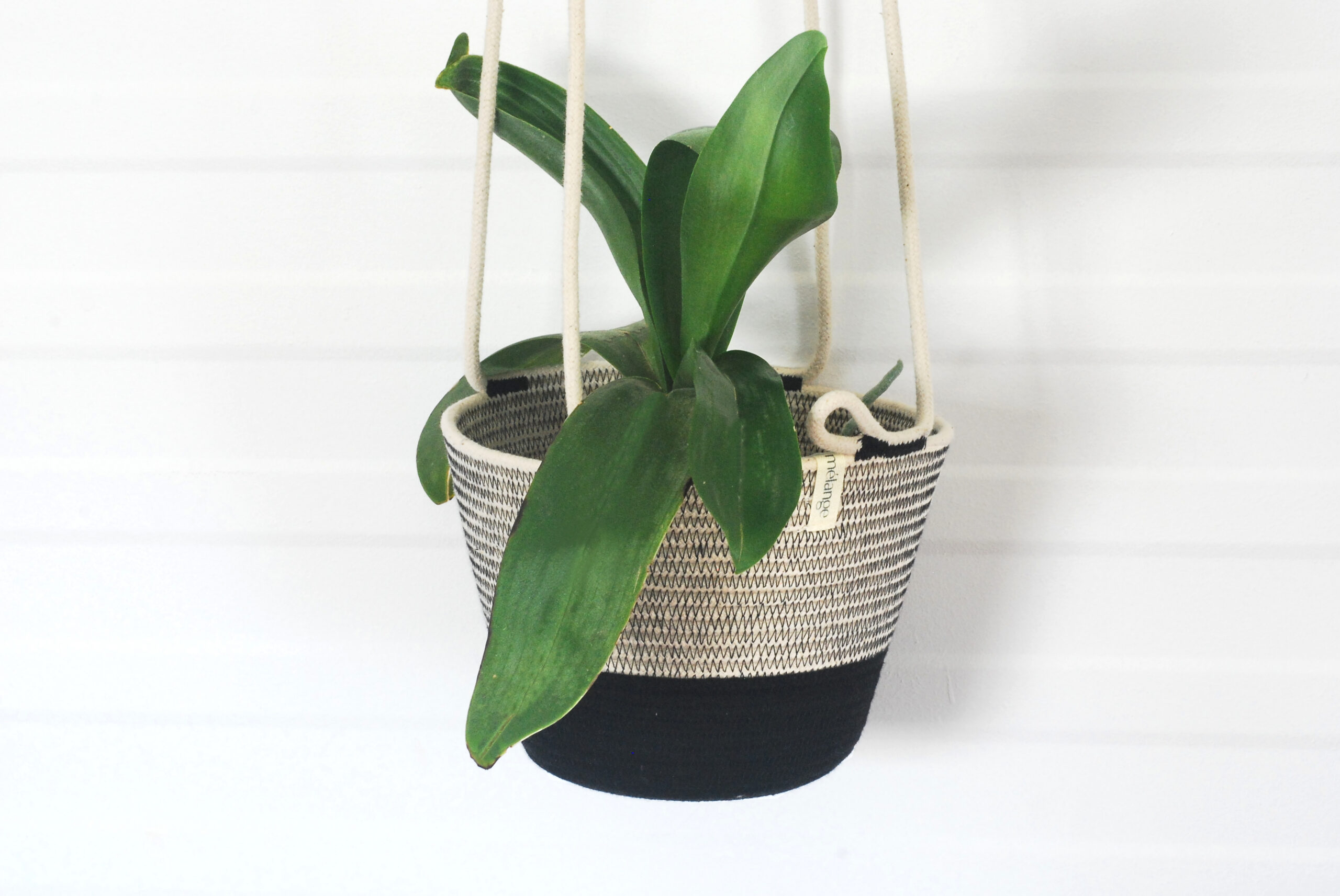 mia melange bsk12120r m hanging planter m liquorice 2 mia melange bsk12120r m hanging planter m liquorice 2
