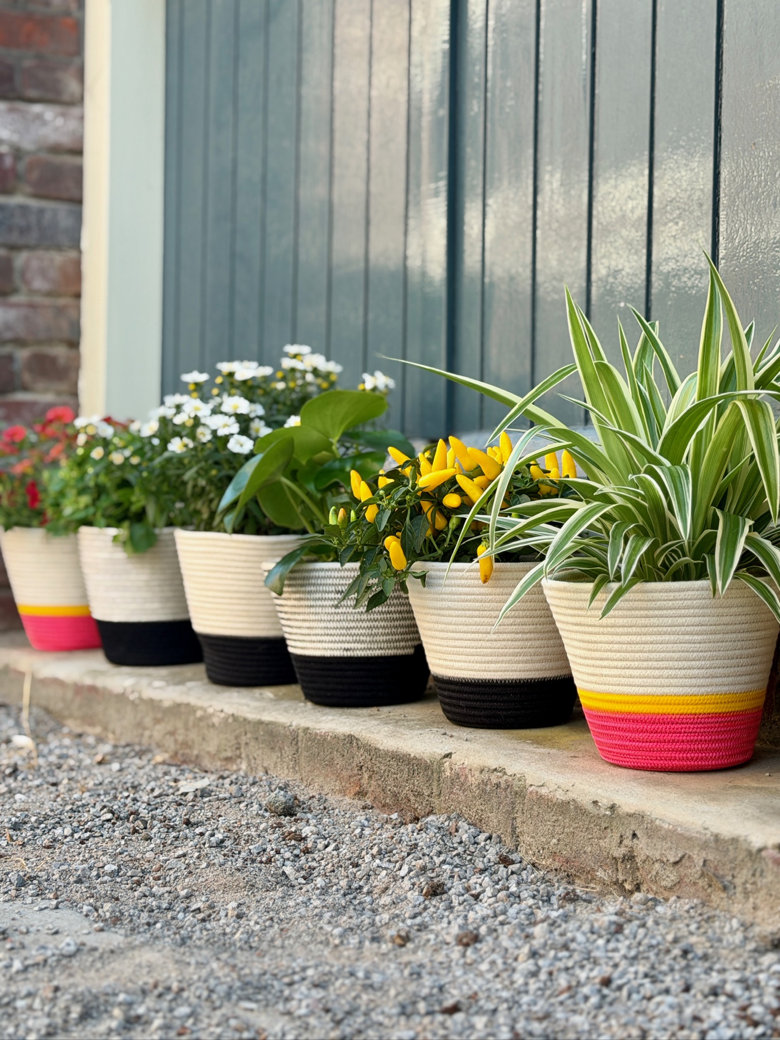 img 4392 img 4392